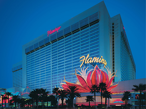 Flamingo